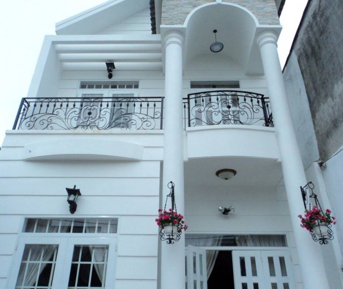 Lan can sắt nghệ thuật MDSNT007